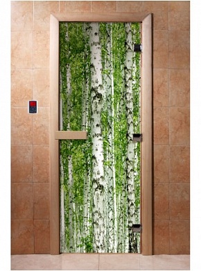 картинка Дверь С Фотопечатью A084 для бани и сауны