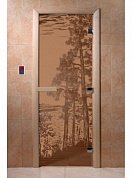 картинка Дверь  "Рассвет бронза матовая" для бани и сауны