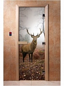 картинка Дверь С Фотопечатью A080 для бани и сауны